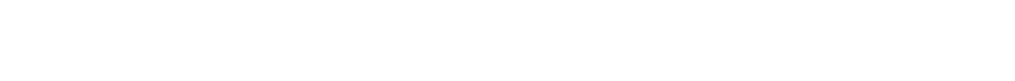 Section Divider